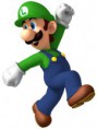 /album/fotogaleria/luigi-jpg1/
